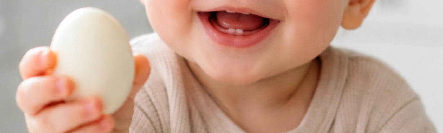 Bannière Introduction de l’œuf dans l'alimentation des bébés le guide complet