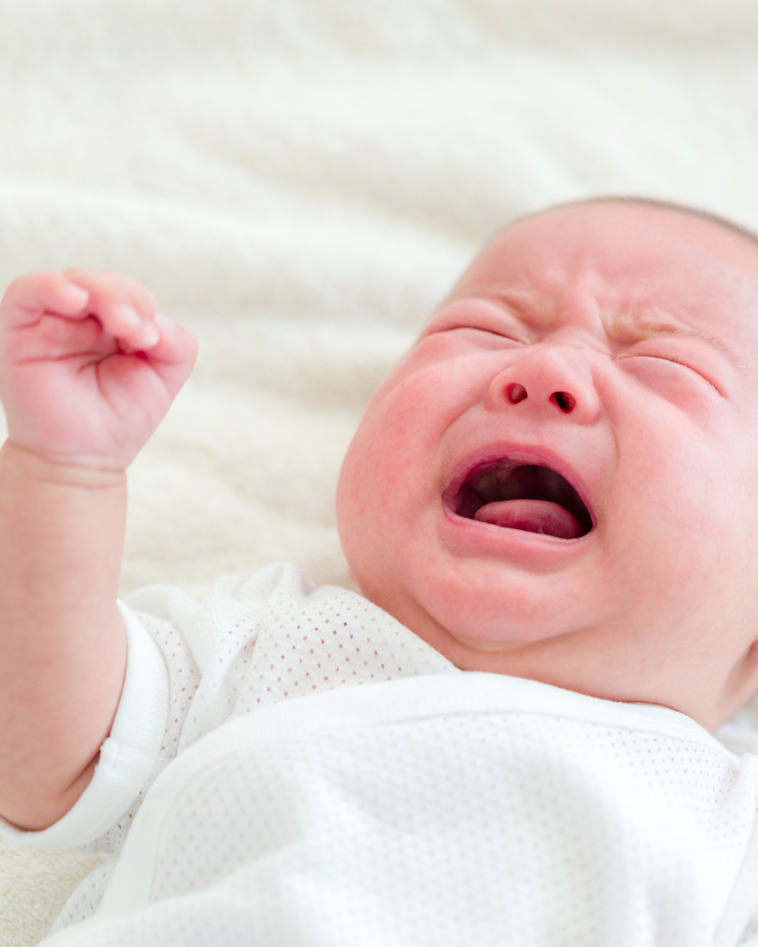 Les matières grasses pour le bébé